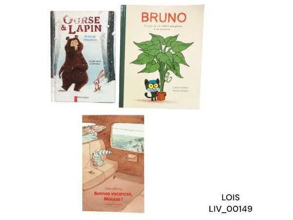 Lot de 3 livres : Ourse et lapin, Bonnes vacances Mousse ! , Bruno